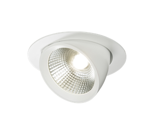 230V 40W Round LED Recessed Adjustable Downlight