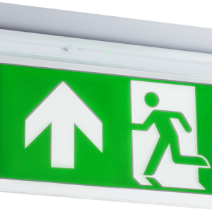 230V 2W Recessed LED Emergency Exit sign
