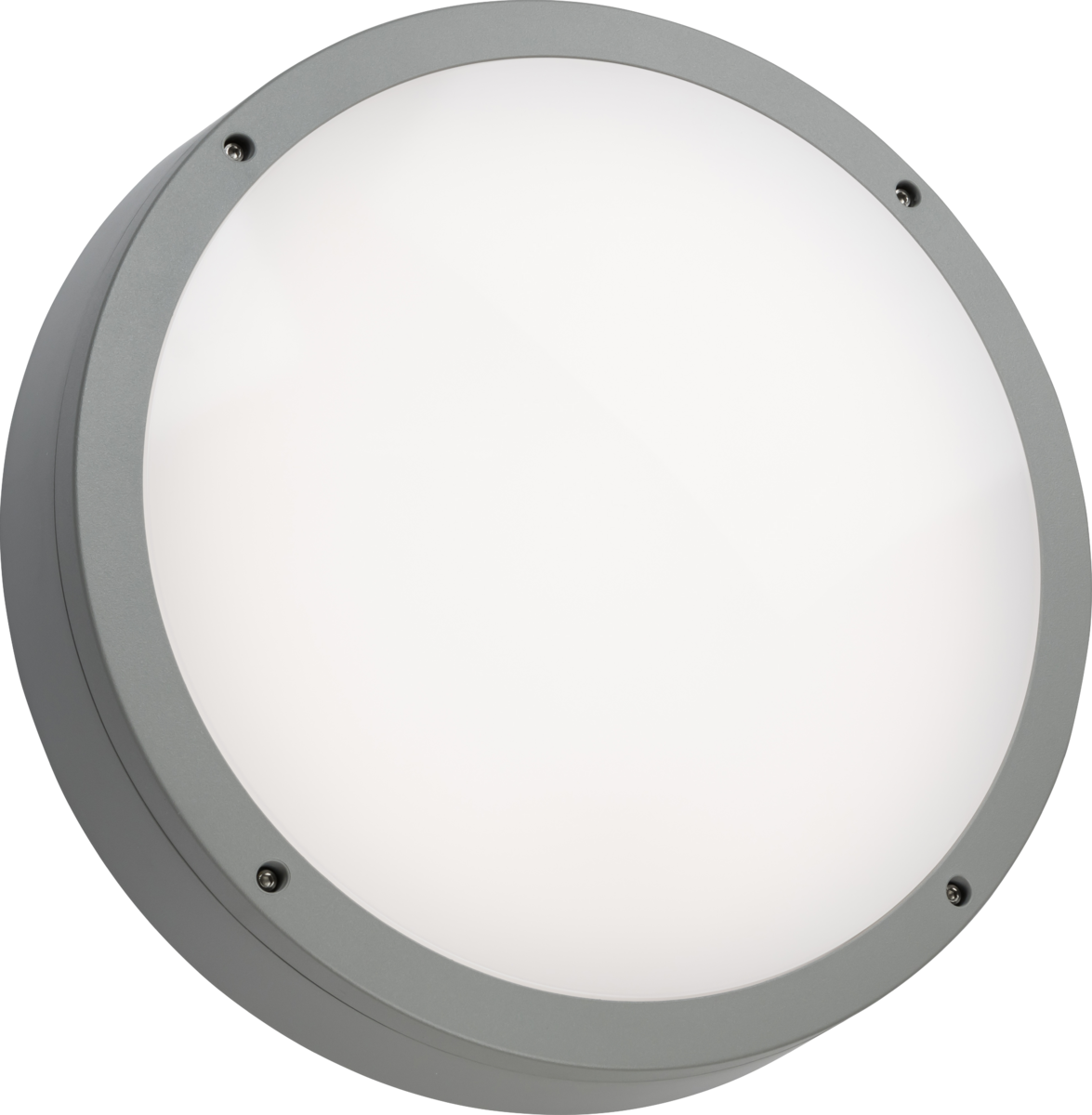 TNXPROCEG Anti-Vandal Grey Casing for Tenax Pro