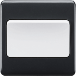 PM1DPW 10AX 1G DP Wide Rocker Switch
