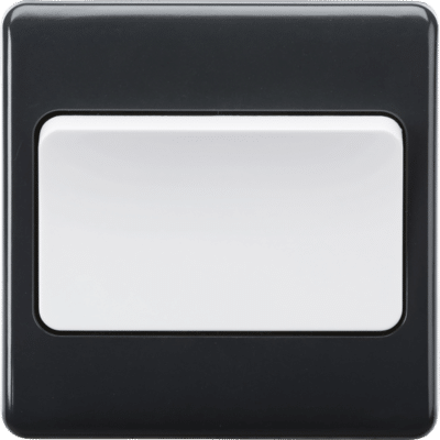 PM1DPW 10AX 1G DP Wide Rocker Switch