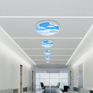 E313 24W IP20 300mm Surface Mounted Sky LED Ceiling Light 6500K