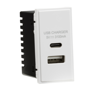 Dual USB Charger (3.1A) Module 25 x 50mm - White