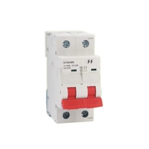 N100AMS 100A Double Pole Incomer