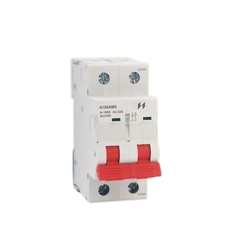 N100AMS 100A Double Pole Incomer