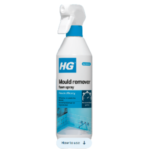 HG Mould Remover Foam Spray