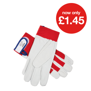 XL (Size 10) Fine leather palm gloves