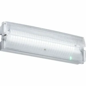230V IP65 4W LED Emergency Bulkhead