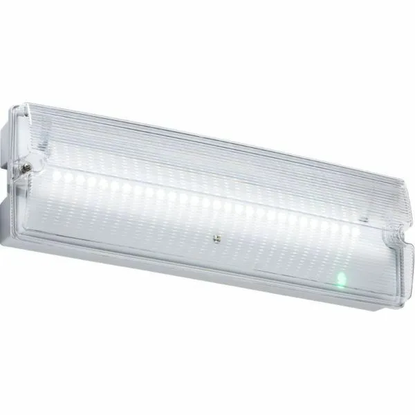 230V IP65 4W LED Emergency Bulkhead