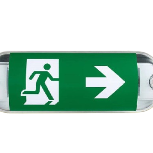 LED Emergency Light 6500k, Cool White