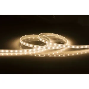 24V IP67 LED Flex Warm White 3000K (30 Metres)