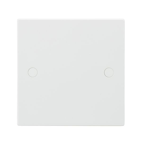 1G Blanking Plate
