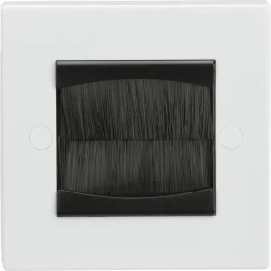 1G Brush Faceplate (Assembled)