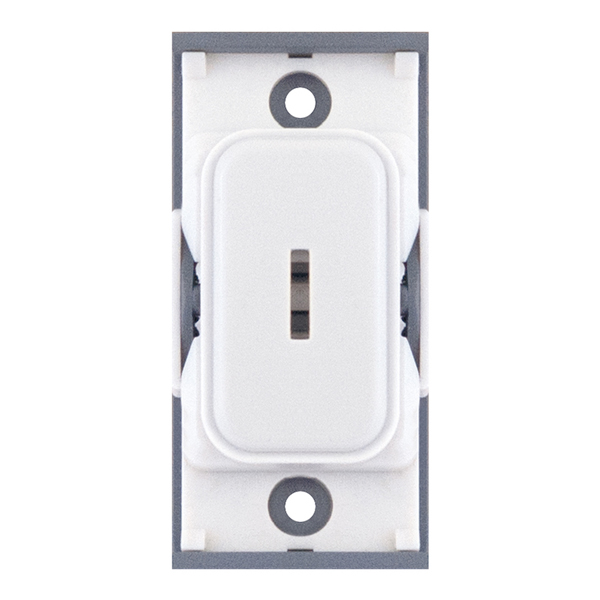 SGRID360-4 10 Amp DP Key Switch Module – White With White Insert