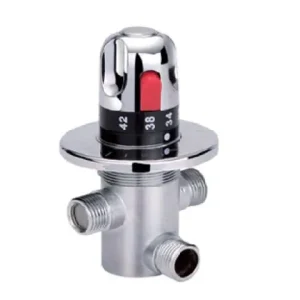 Thermostatic Douche Valve