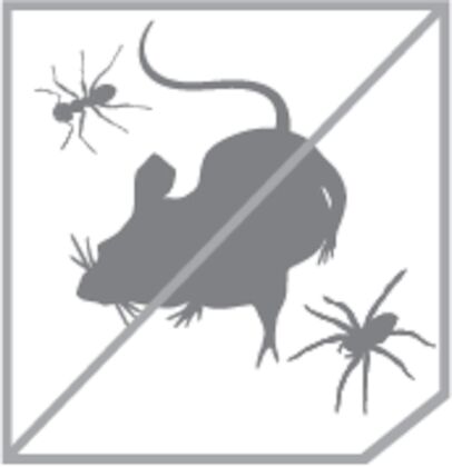 DAP Mouseshield Foam