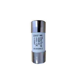 FHS100 100A House Service Cut Out 22.2mm 11A