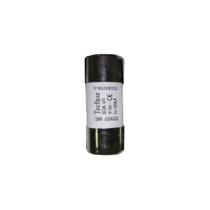 FHS60 60AMP House Service Cut Out 22.2mm 11A ME63