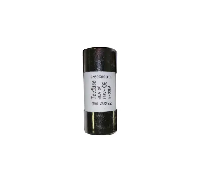 FHS60 60AMP House Service Cut Out 22.2mm 11A ME63
