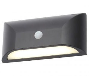 Poole LED Light (Black, IP65,PIR, Downlight)