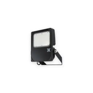 230V IP66 IK08 High Lumen 100W Floodlight 4000K