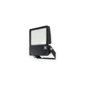 230V IP66 IK08 High Lumen 200W Floodlight 4000K