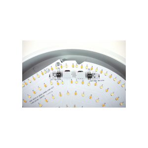 4 Wattage 3 CCT Circular LED Bulkhead