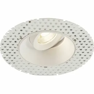 Odan Single Tilt Round Trimless Downlight White