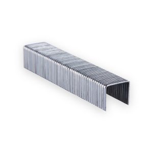 Amtech 10mm Staples (x 1000)