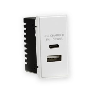 Dual USB Charger (3.1A) Module 25 x 50mm - White