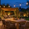 Illustration of warm festoon lights over a garden dining area