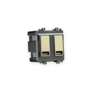 Knightsbridge Dual USB Charger Module (2 x Grid Positions) 5V 2.4A (Shared) - Brushed Brass