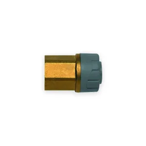 PolyPlumb female BSP adaptor with brass hexagonal body and grey push-fit socket