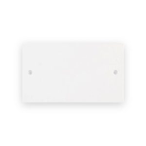 Selectric 2 Gang Blanking Plate