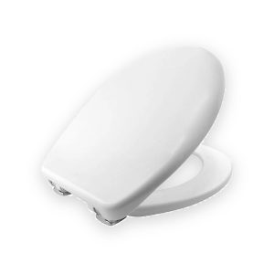 Soft Close Toilet Seat White With Plastic Hinges