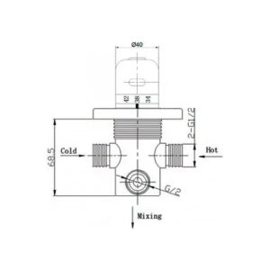 Thermostatic Douche Valve
