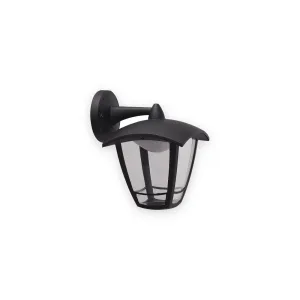 TORO 230V IP44 8W LED Coach Lantern with Adjustable CCT - Black