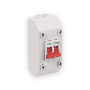 Wylex REC2S 100A 2 Pole Switch With Enclosure To Suit Meter Tails